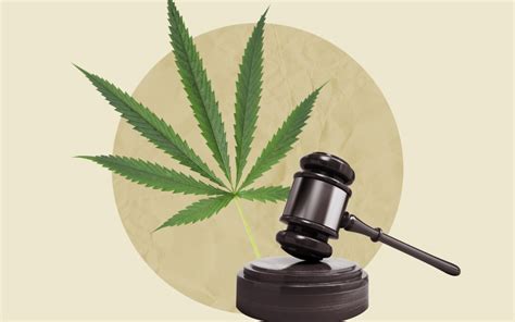 new marijuana testing laws